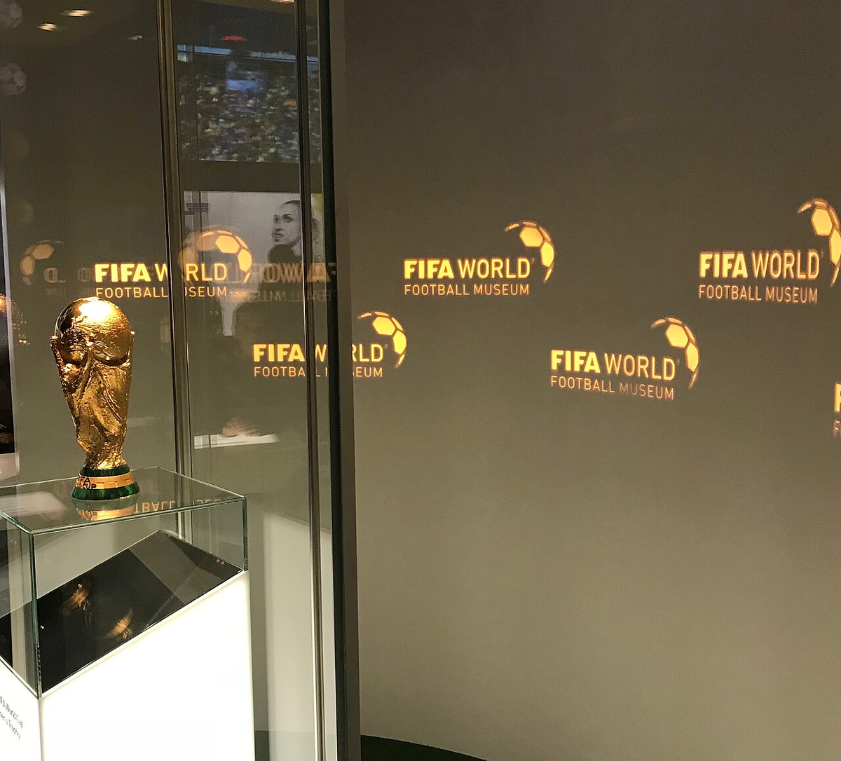 Featured image for I built a World Cup prediction machine (and bet real money on it)